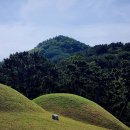연산동고분군 이미지