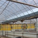 냥이와 양이 이미지