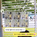 퍼피 앤 포유 이미지