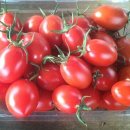 장전서당골 영농조합법인 이미지