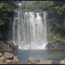 천제연폭포 이미지