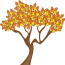 감사나무 이미지