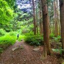 타임9002 이미지