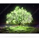 LG 울트라 OLED48A1ENA 올레드 TV 48인치(120cm) 미개봉 새제품 이미지