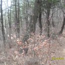 장산정경로당 이미지