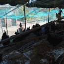 구구랜드 실키팜 이미지