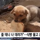 온:식빵 이미지