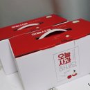 주산지애플