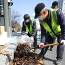 둔산중로-17 이미지