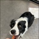 수원-2057 이미지