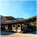 위봉사&위봉폭포&위봉산성 | 🍁 완주 가을 힐링 코스! 대아 수목원, 위봉사, 위봉 폭포 당일치기 완벽 일정