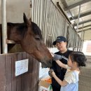 [승마&농장체험] 먹이 주기, 농장체험 이미지