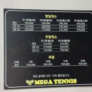 메가테니스파크