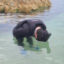 평남목장 이미지