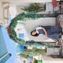 고성군 7 이미지