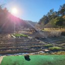 연일농장 이미지