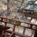 타라고 | 백수의 하루 서울 템플스테이 금선사 1박 2일 휴식형