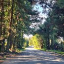 귀덕농장 이미지