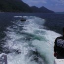 군산고무