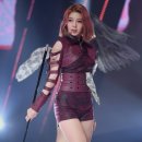 다미(Dami) - 양천구 | 다미(Dami)