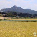 진산슈퍼 Daum카페