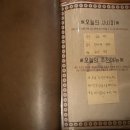 [안산/ 고잔] 이자카야춘 고잔점_분위기 좋은 안산맛집에서 로스카츠에 라멘 곁들여 먹는 데이트, 본점...