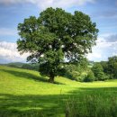 믿음자동차마을 이미지