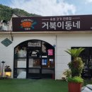 거북이동네외동