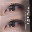 예쁨과 힐링을 동시에 경험할 수 있는 소월아이래쉬 관저동속눈썹잘하는 곳