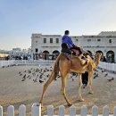 아이보리매직 이미지