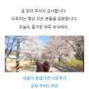 소보시장 | 대구광역시 군위군 소보면 소보 5일장(2.7일)(2024.10.12)