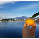 한라앤탐 이미지