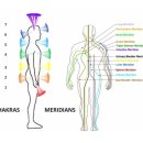 Meridian Flow Reiki를 소개합니다. 이미지