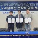 블루스톤 이미지
