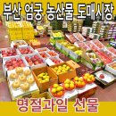 항도청과중도매인50번 | 부산엄궁 농산물도매시장 (엄궁롯데마트 옆) 명절과일선물 저렴하고 품질좋아요
