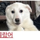 연세 태권도 이미지