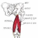 더본한의원 이미지