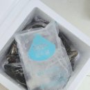 섭건어물