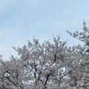 수제통닭 | 4월 (1)