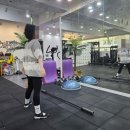 바디나믹 이미지