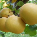 신안할인마트 이미지