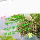 구립파란들어린이집