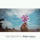 꽃님 이미지