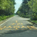 유스호텔 진입로  유스호텔 이미지