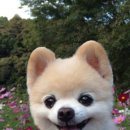 멍is뭔들 이미지