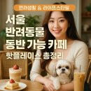 7월 테마가 있는 책놀이터 : 계절을 느껴요 | 반려동물 동반 가능 카페 서울 핫플레이스 총정리