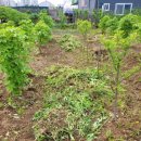 보섭농장 이미지