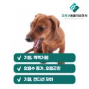 포천동물병원 이미지