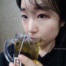 레인포러스 | 황칠나무효능! '황칠잎차티백'으로 간단하게!