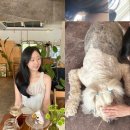 라헨플라워 이미지